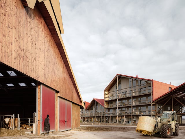 Vliervelden door KettingHuls. Beeld Sebastian van Damme