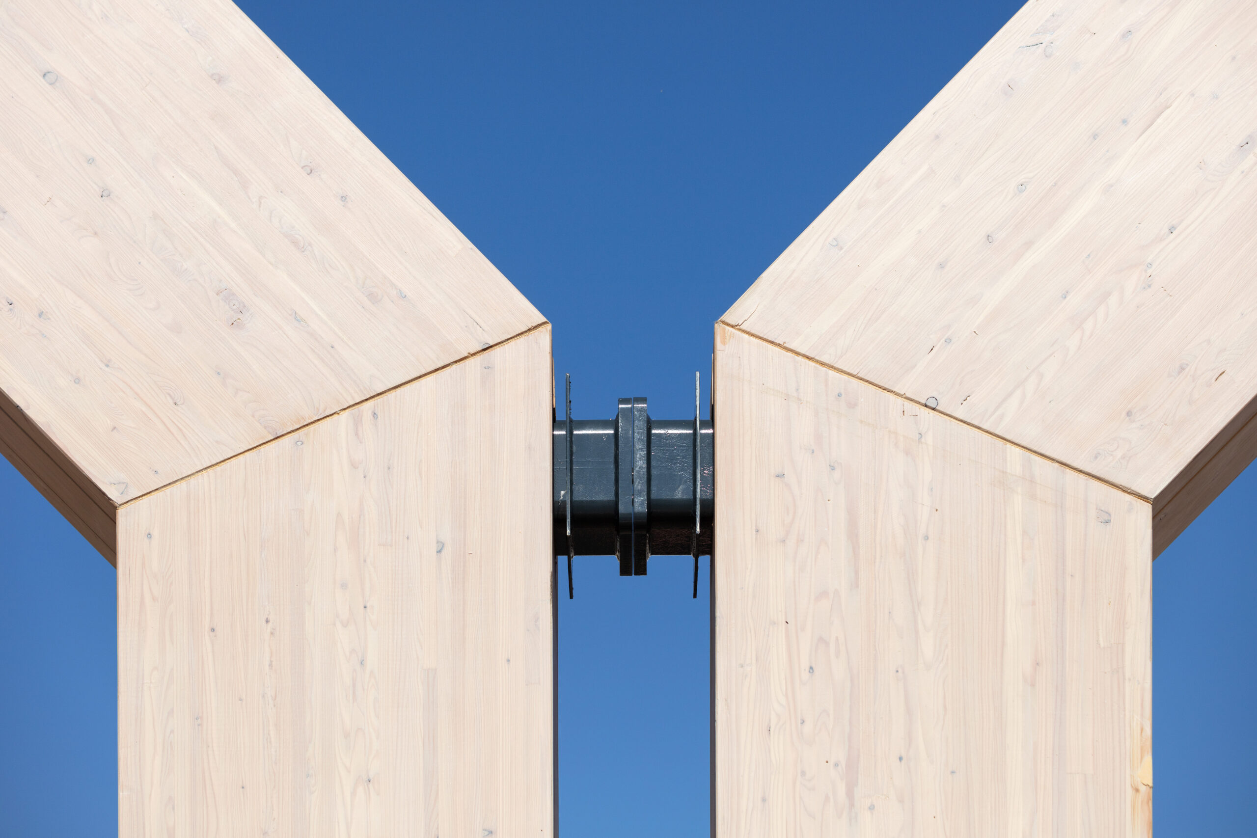 Houtconstructie Koning Willem I College door Nieuwe Architecten. Beeld Stijn Poelstra