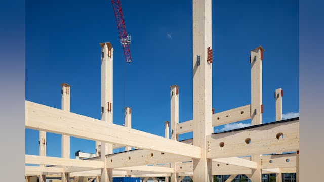 Houtconstructie Koning Willem I College door Nieuwe Architecten. Beeld Stijn Poelstra