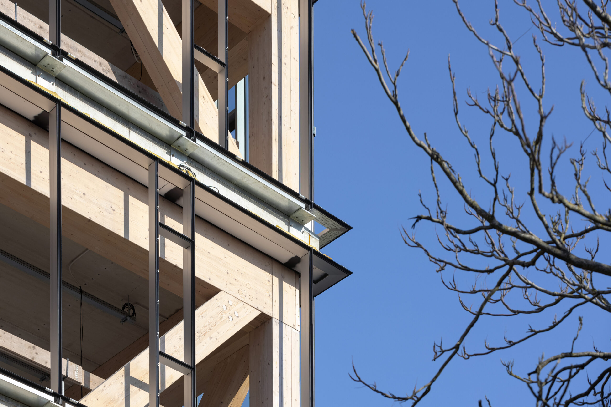 Houtconstructie Koning Willem I College door Nieuwe Architecten. Beeld Stijn Poelstra