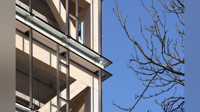 Houtconstructie Koning Willem I College door Nieuwe Architecten. Beeld Stijn Poelstra