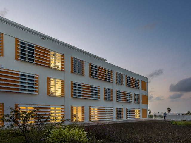 Beeld Roos Aldershoff