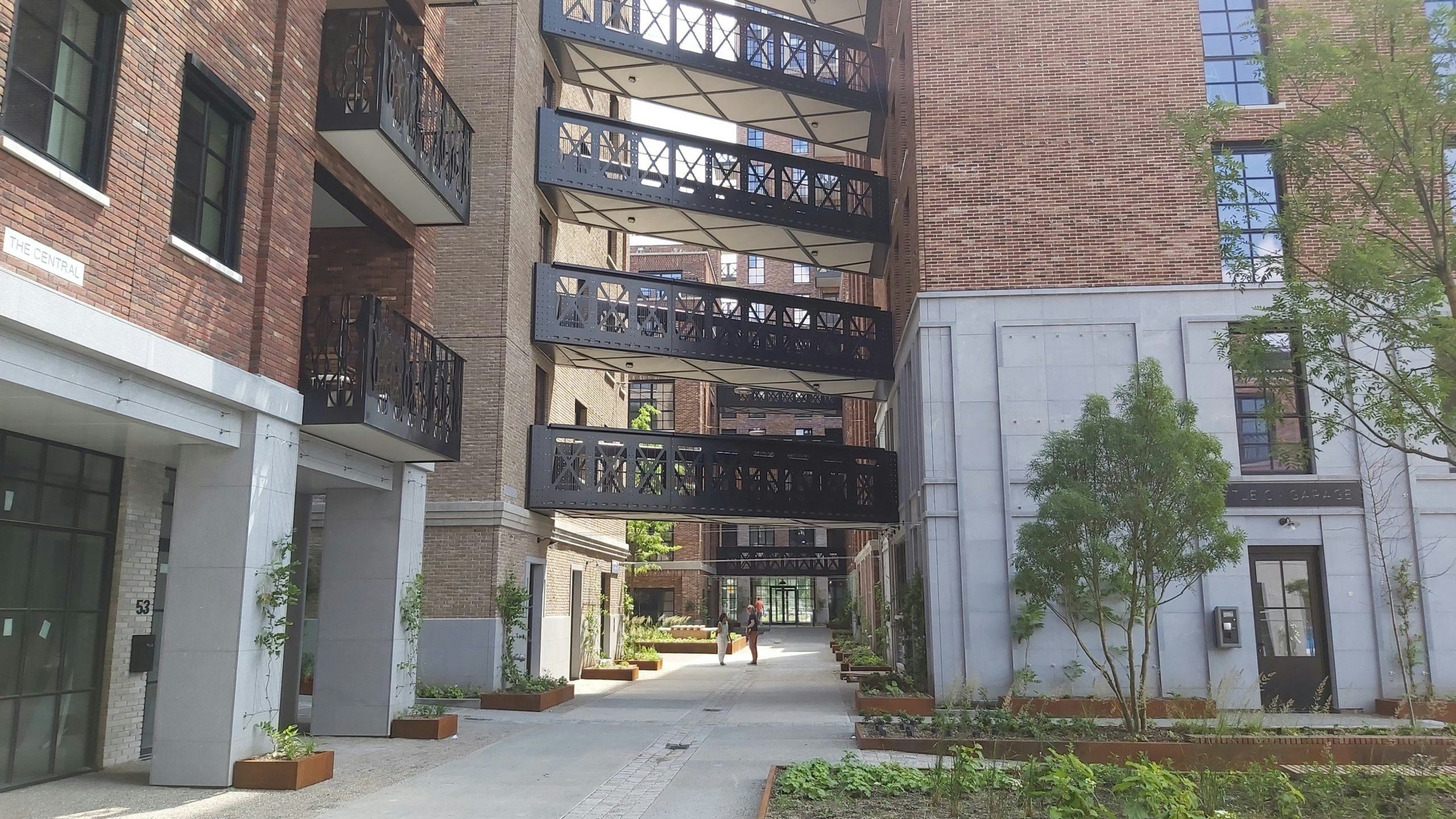 Little C. Beeld Robin Boelsums