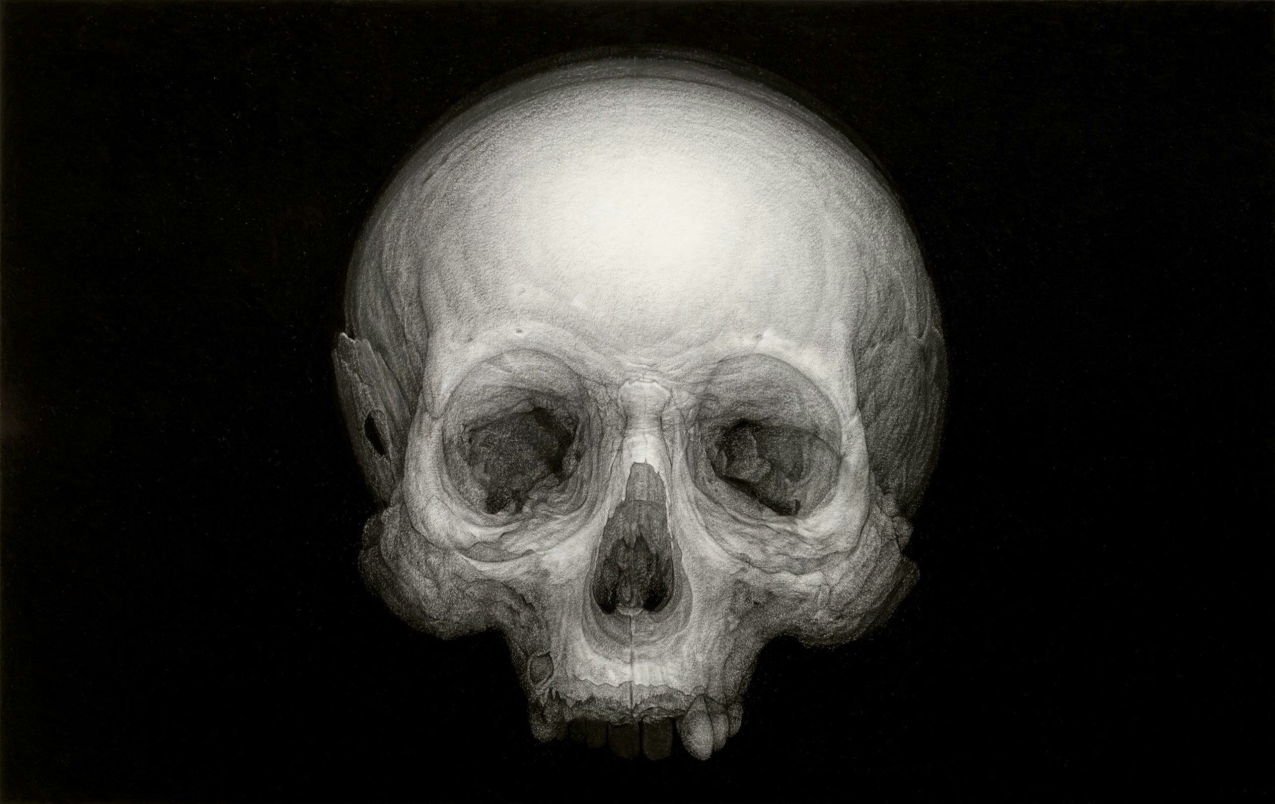 Cindy Wright, “Eye to Eye (unification)”, 2020. Eigendom stad Antwerpen, in langdurige bruikleen in M HKA. C/o Pictoright 2021.