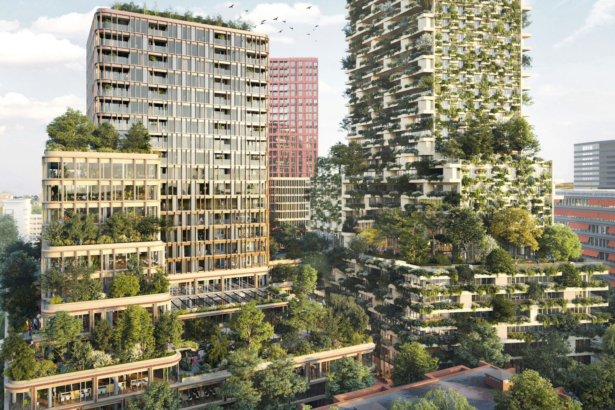 Op loopafstand van Utrecht Centraal komt Wonderwoods: twee groene torens – ontworpen door Stefano Boeri Architetti en MVSA Architects – met een mix van wonen, werken, ontspanning, cultuur en horeca. Beeld MVSA