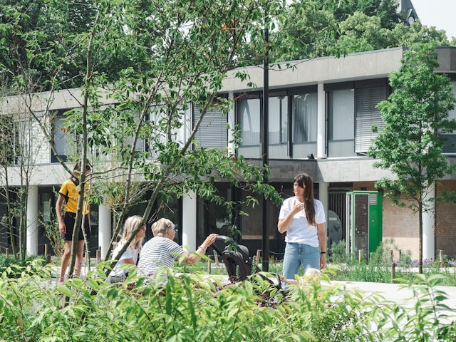 Aan de zijde van het gemeentehuis is een lange groene bak toegevoegd waar het plein op afwatert. Beeld Studio BLAD