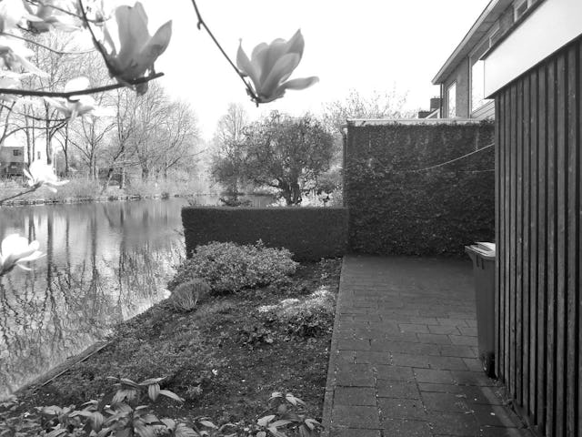 Beeld MWA Hart Nibbrig