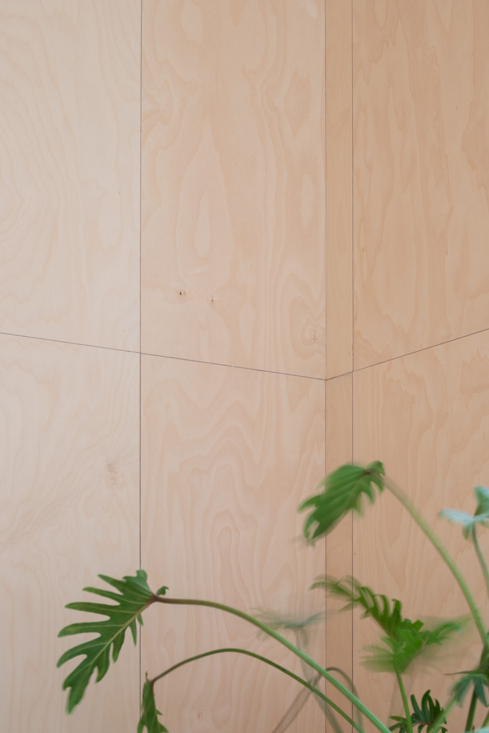 Beeld Aiste Rakauskaite