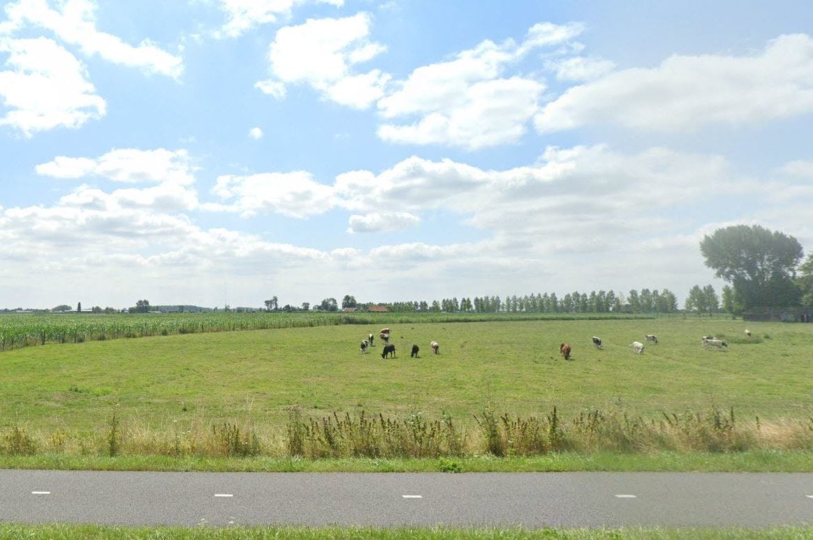 Rijnenburg. Beeld Google Streetview