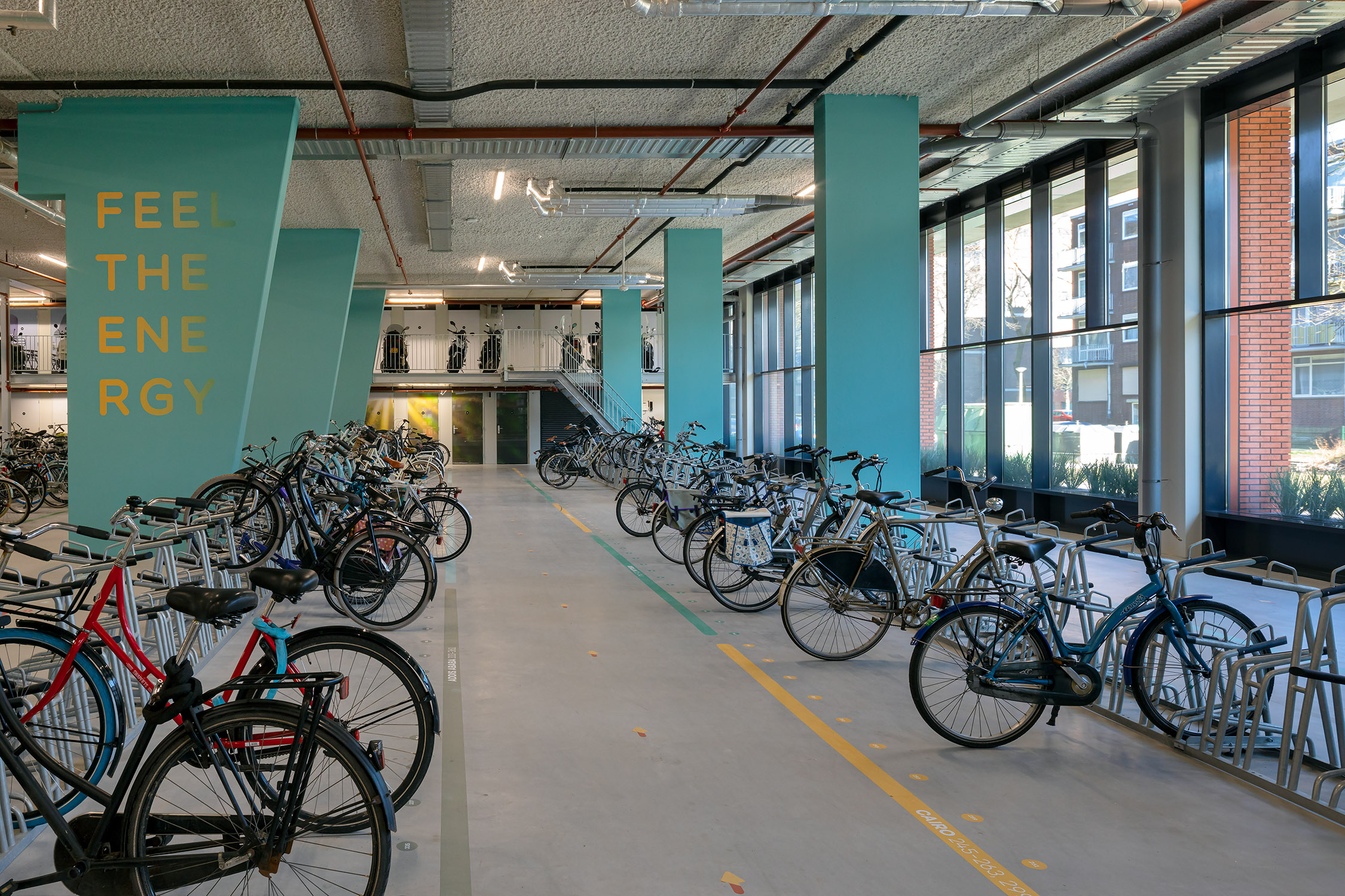 Beeld ScagliolaBrakkee