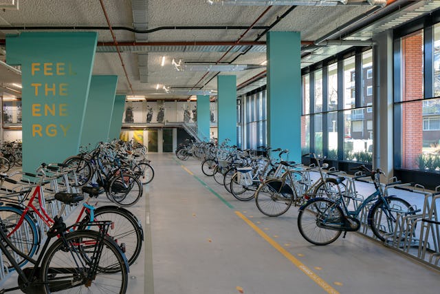 Beeld ScagliolaBrakkee