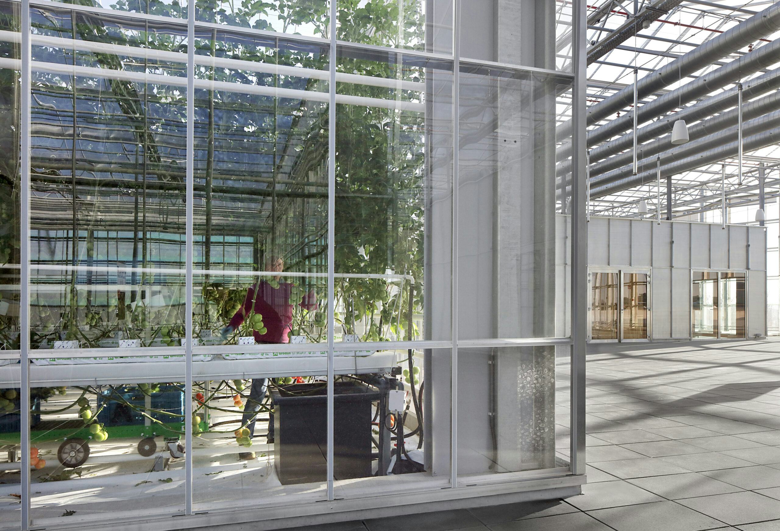 Beeld Filip Dujardin