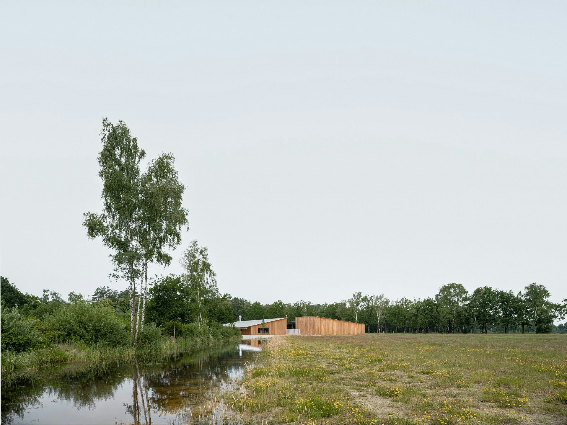 Beeld Jeroen Verrecht