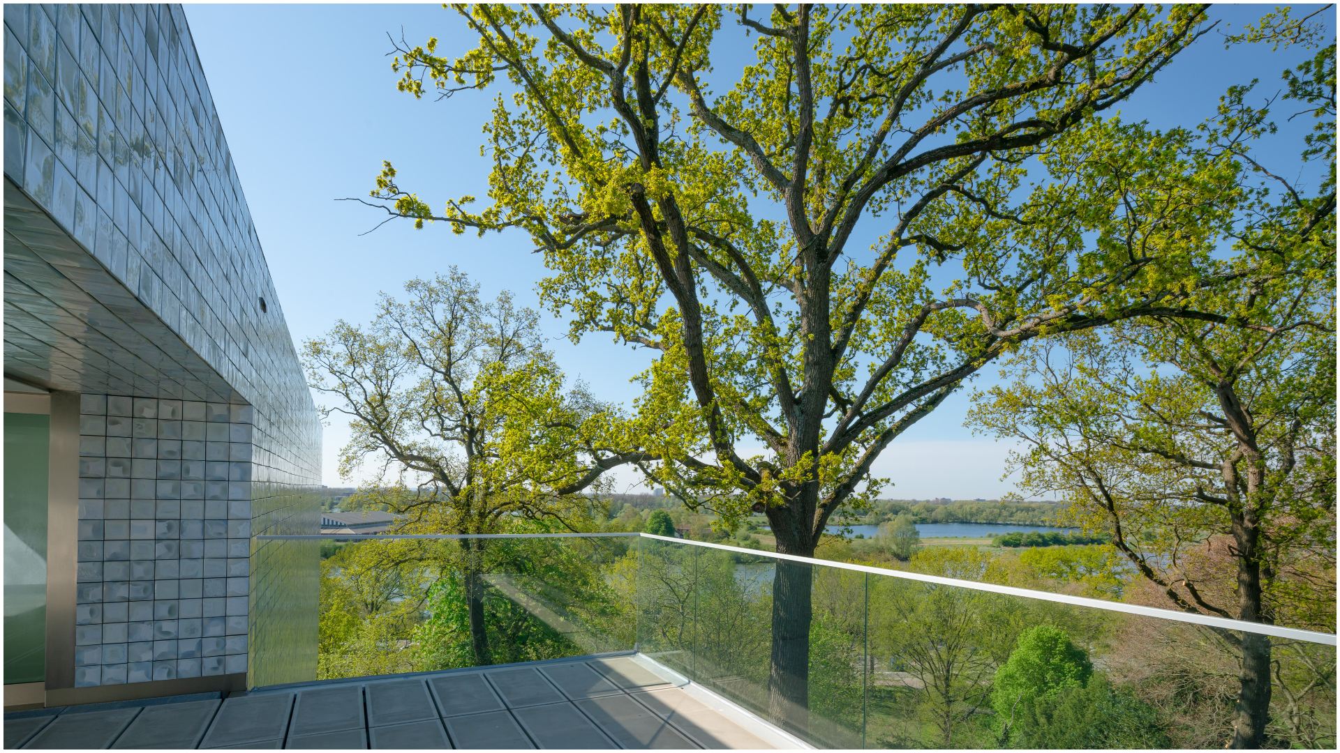 Beeld Jannes Linders