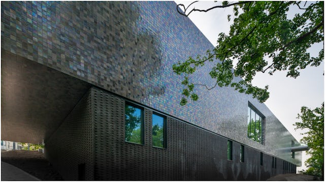 Beeld Jannes Linders