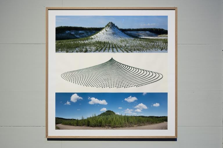Artificiële berg met bomen in een mathematisch patroon. Kunstwerk door Agnes Denes. Beeld Cassander Eeftinck Schattenkerk