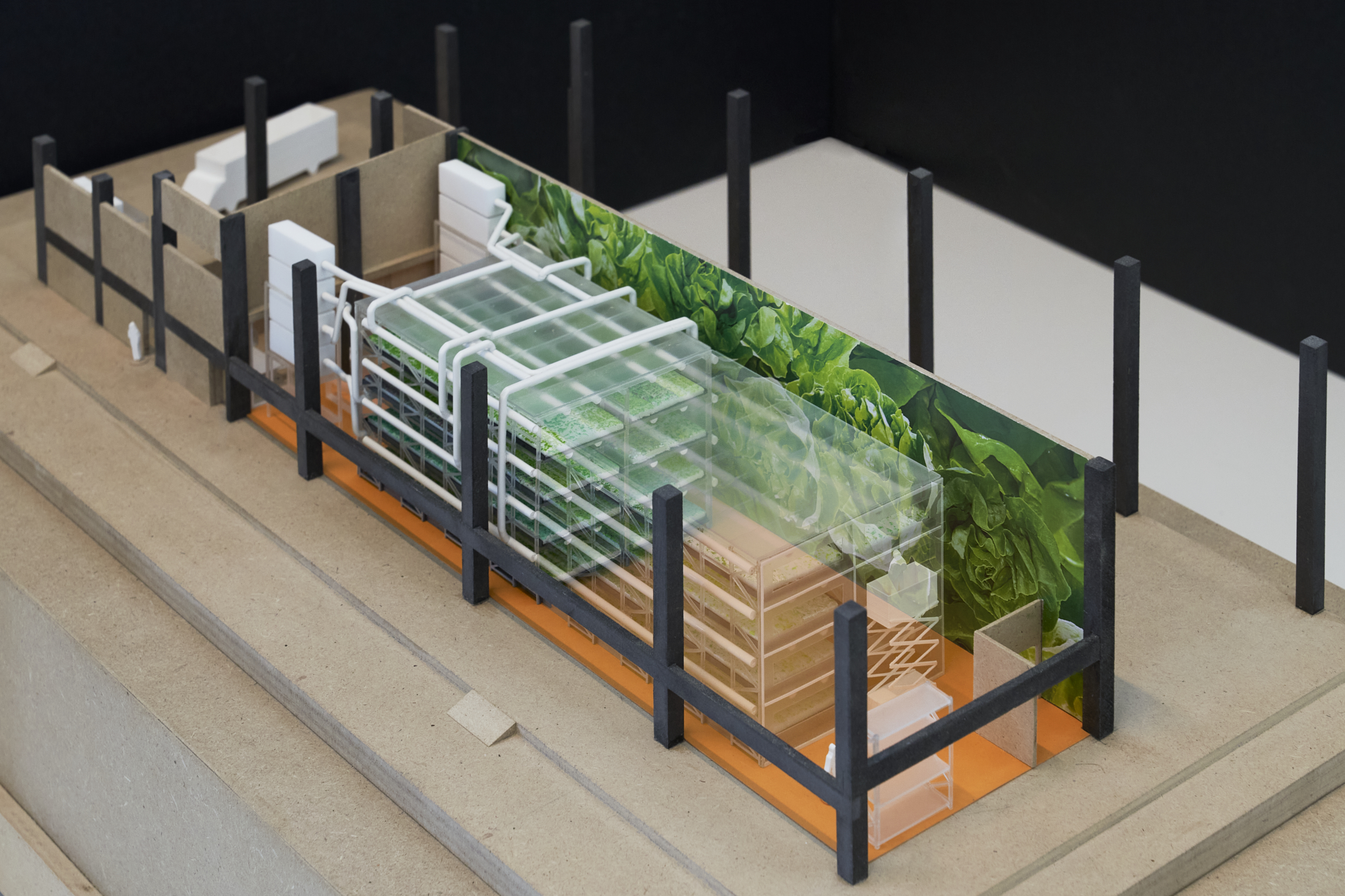 Render KuiperCompagnons. Beeld Cosimo Beduini