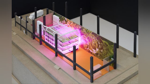 Render KuiperCompagnons. Beeld Cosimo Beduini