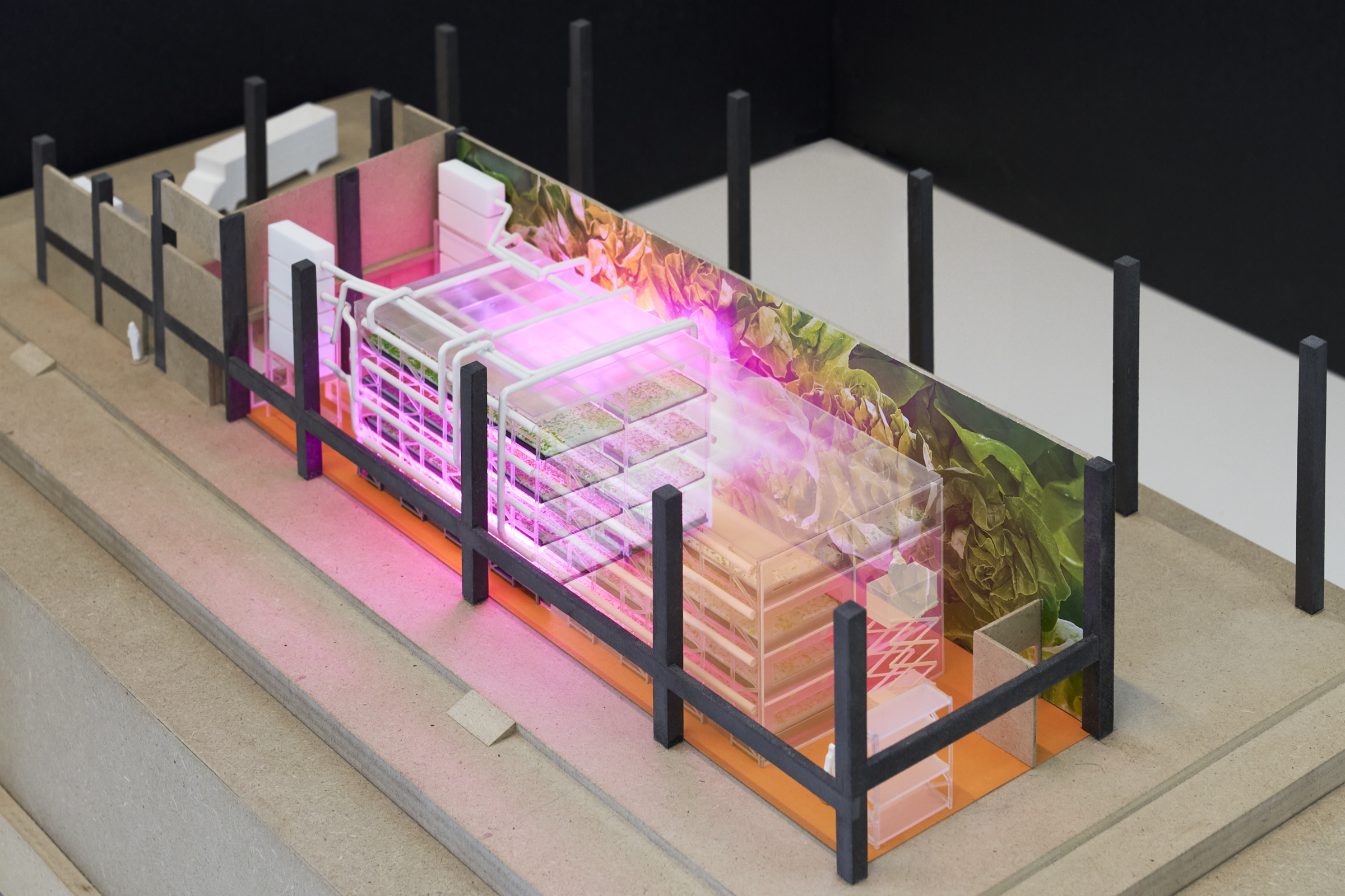 Render KuiperCompagnons. Beeld Cosimo Beduini