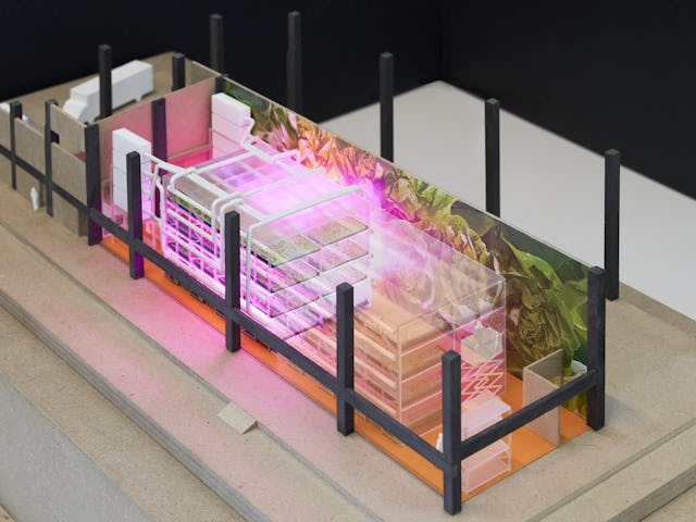 Render KuiperCompagnons. Beeld Cosimo Beduini