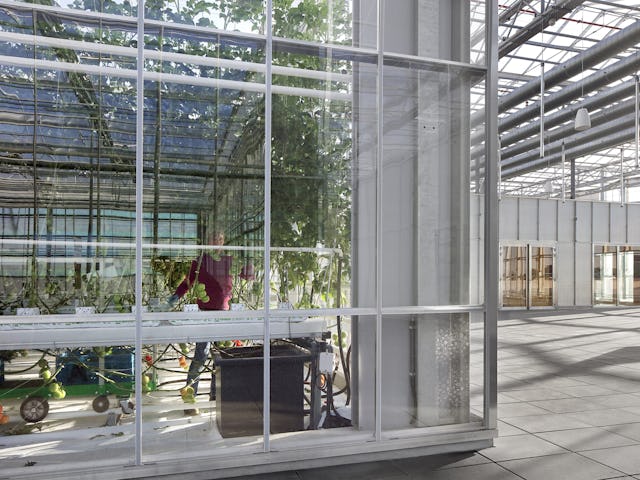 Agrotopia. Beeld Filip Dujardin