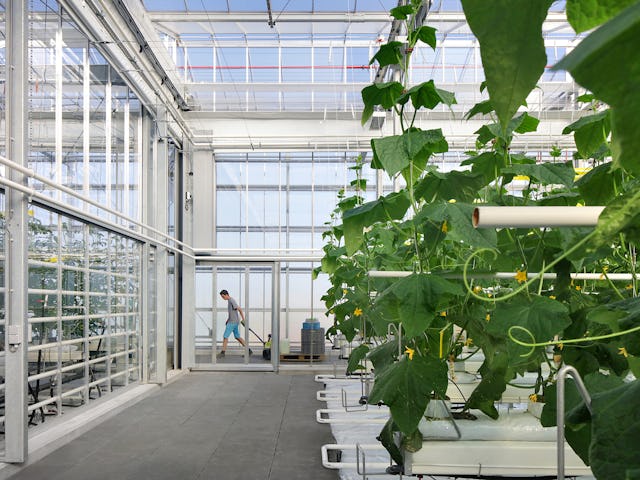 Agrotopia. Beeld Filip Dujardin