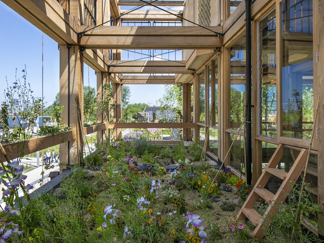 Beeld Scagliola-Brakkee