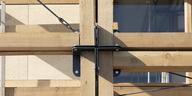 Beeld Scagliola-Brakkee