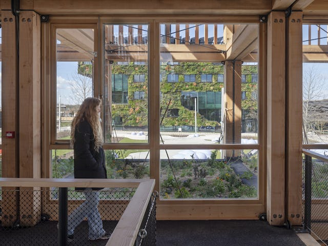 Beeld Scagliola-Brakkee