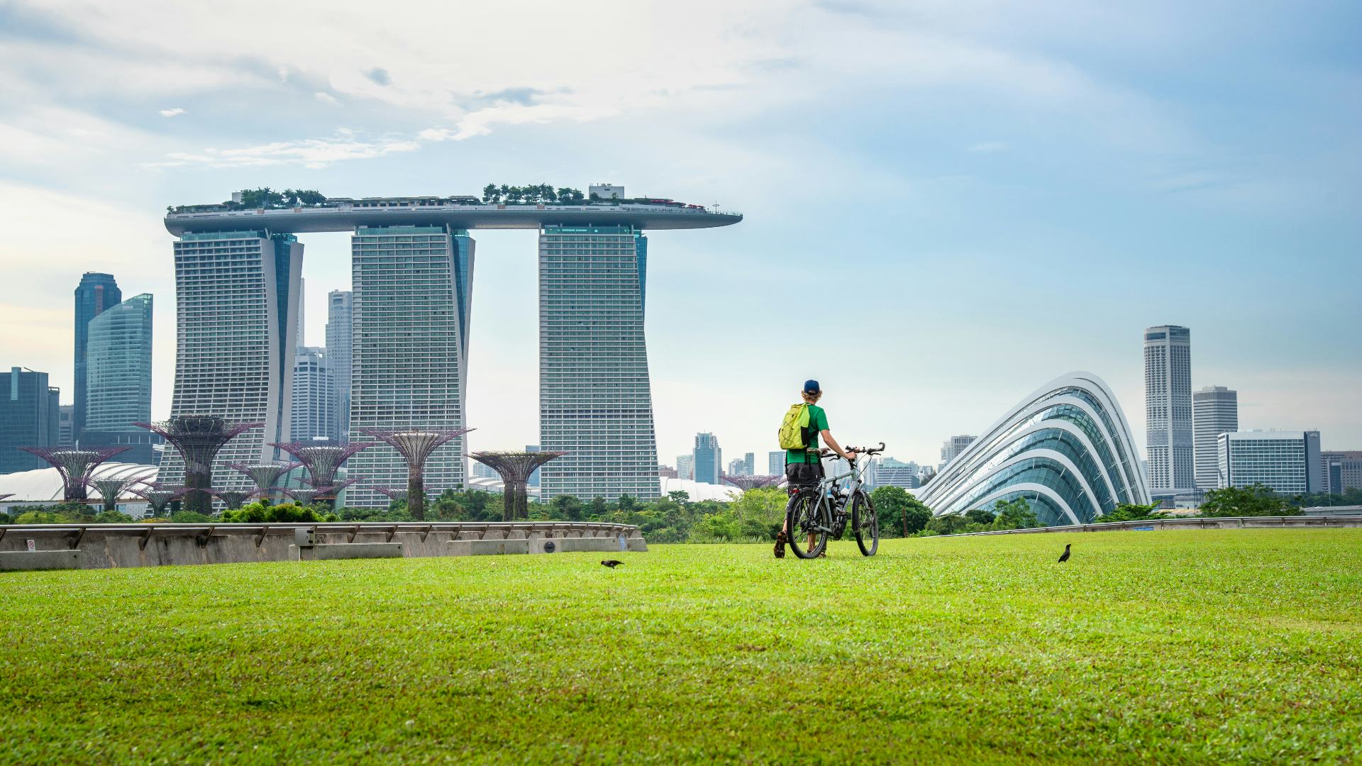 In Singapore is het groene landschap niet alleen verweven door de stad, maar ook in de wolkenkrabbers.   Beeld Shutterstock