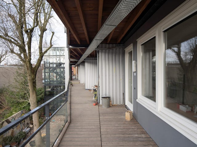 Wolphaert 1555. Beeld Frans Hanswijk