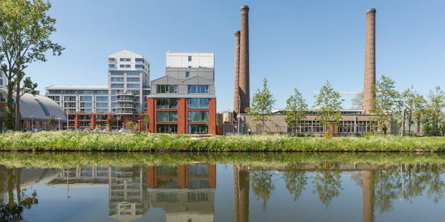 Wilhelminawerf. Beeld Arjen Schmitz