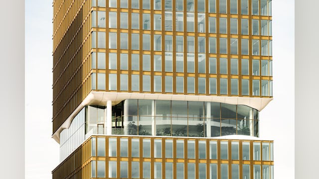 Central Park. Beeld Sebastian van Damme