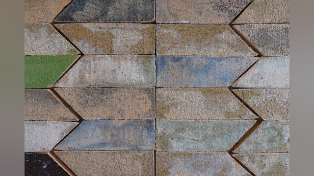 Beeld Stijn Poelstra