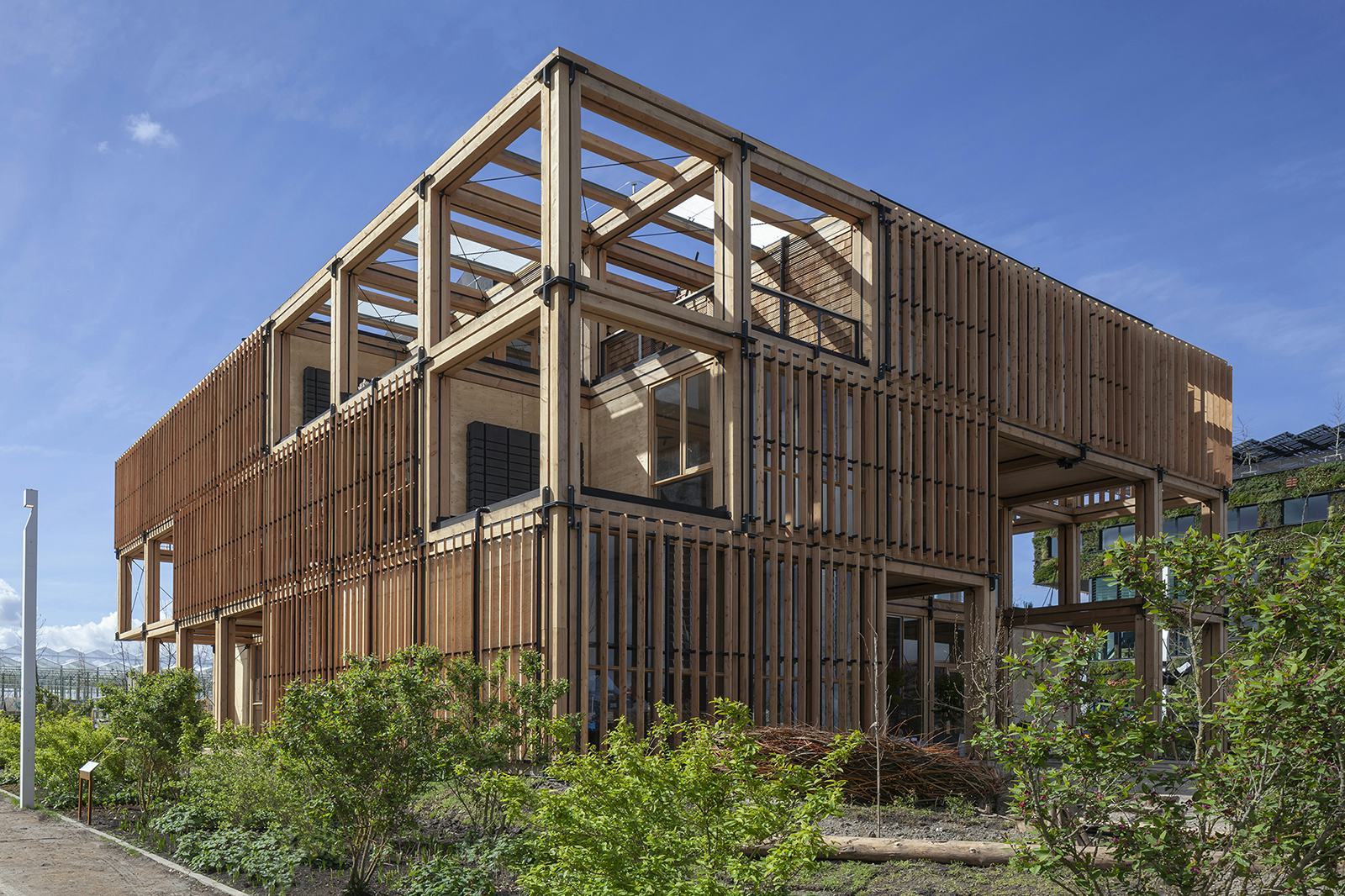 The Natural Pavilion. Beeld Daria Scagliola en Stijn Brakkee