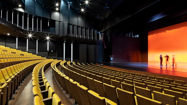 Amare. Beeld Katja Effting