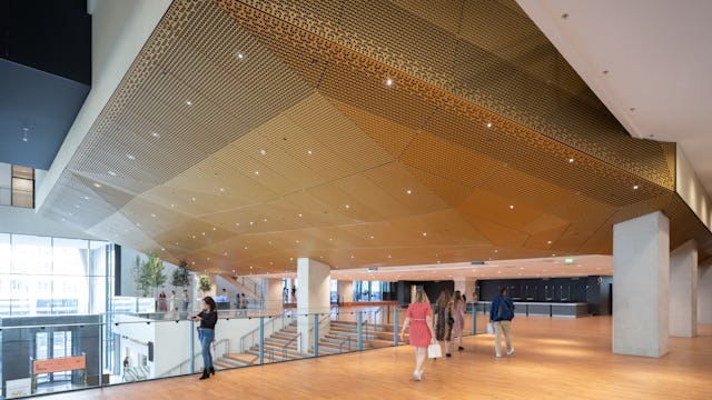 Amare. Beeld Ossip van Duivenbode