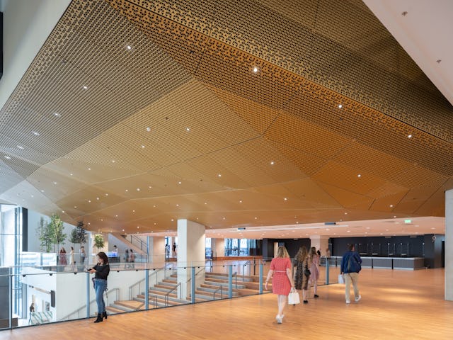 Amare. Beeld Ossip van Duivenbode