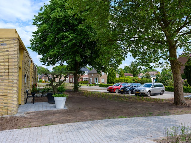 Kastanjehof. Beeld Marieke Kijk in de Vegte