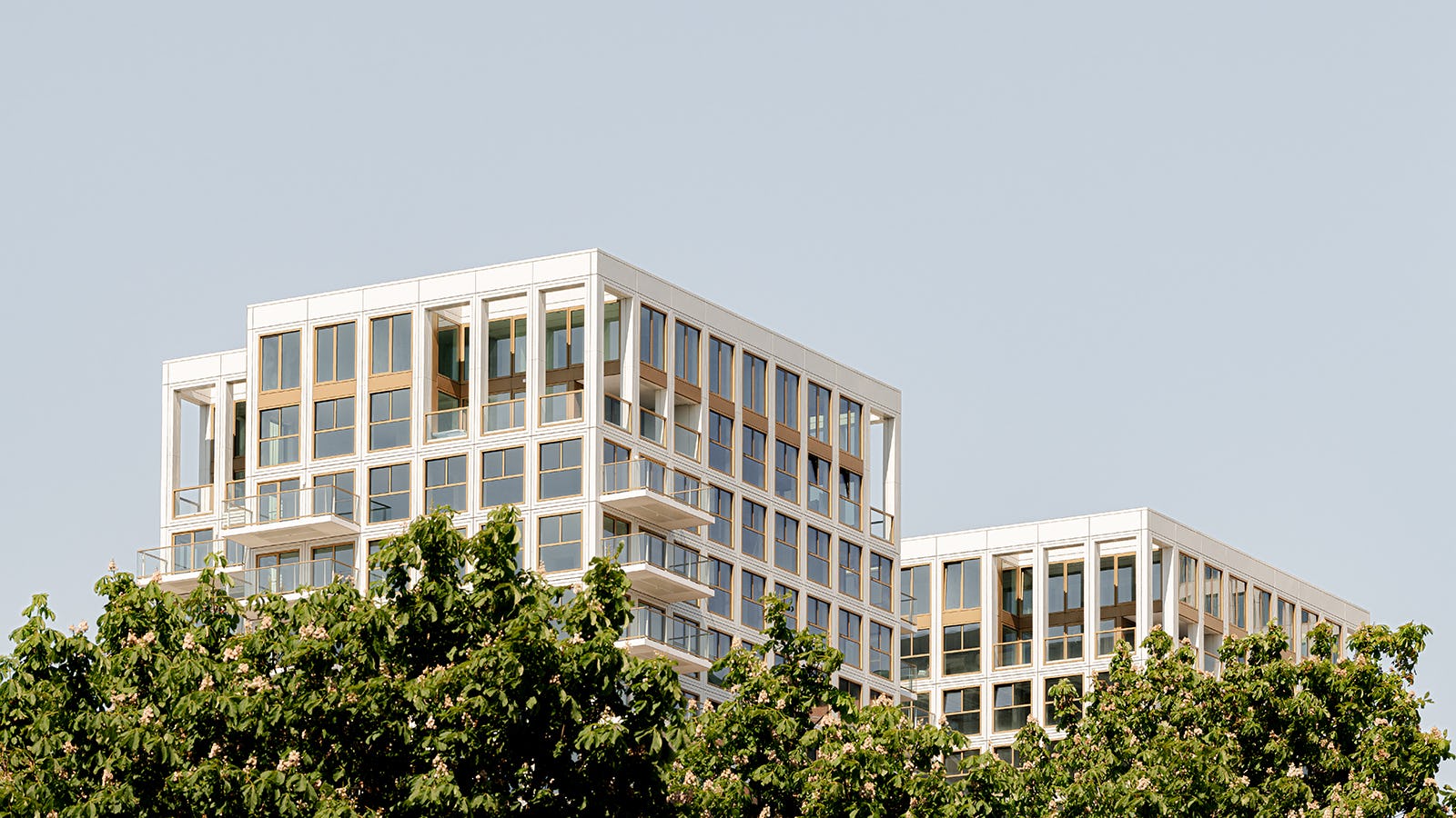 De Zalmhaven. Beeld Sebastian van Damme