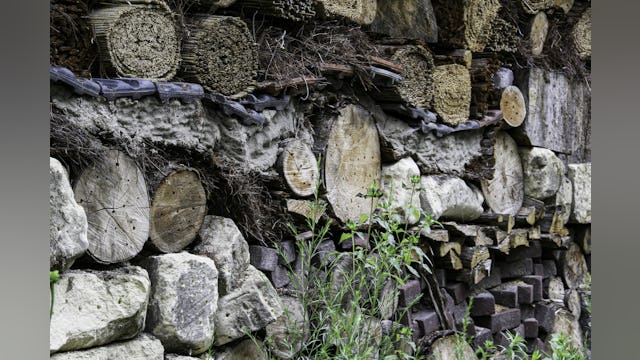 Het 100 meter lange insectenhotel