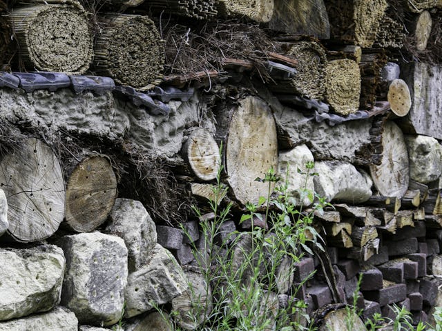 Het 100 meter lange insectenhotel
