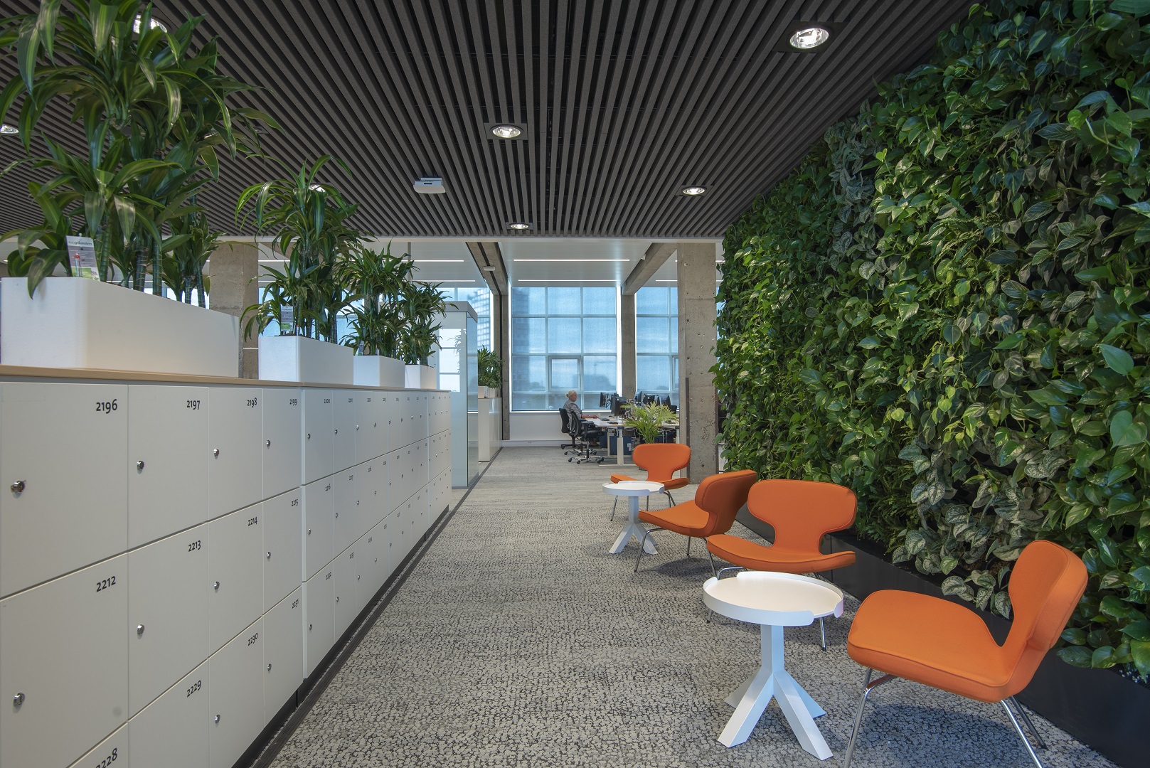 Tweede etage met groene wand. Beeld Peter de Ruig