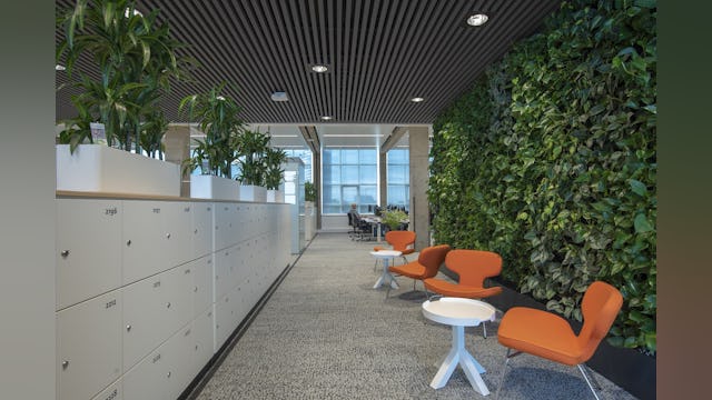 Tweede etage met groene wand. Beeld Peter de Ruig