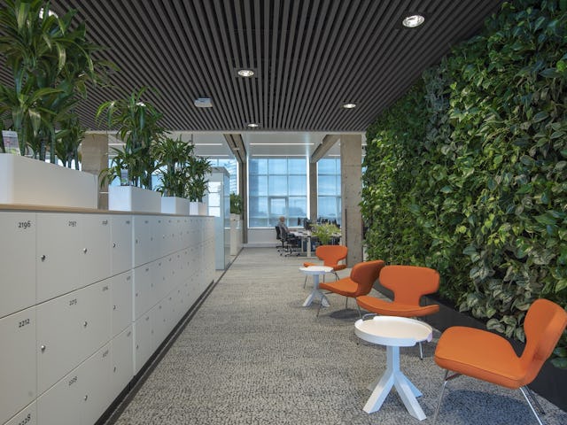 Tweede etage met groene wand. Beeld Peter de Ruig