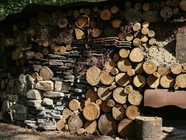 Het 100 meter lange insectenhotel