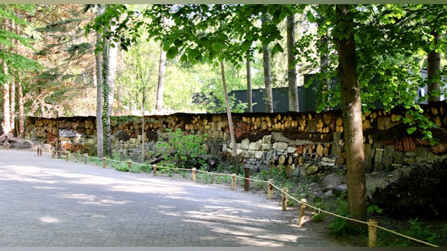 Het 100 meter lange insectenhotel