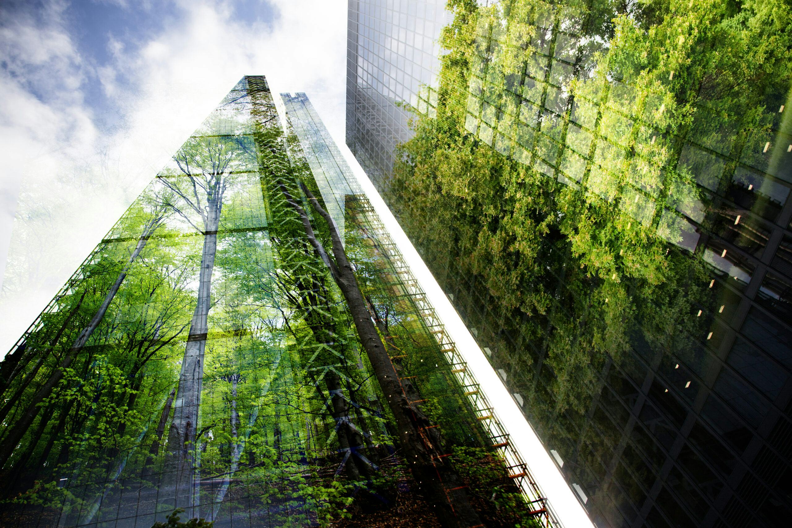 green city - double exposure of lush green forest and modern skyscrapers windows