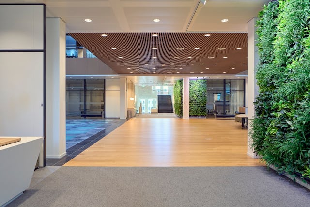 Beeld Ronald Tilleman