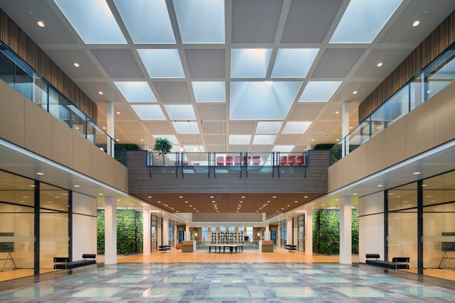 Beeld Ronald Tilleman